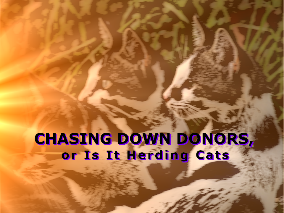 Chasing Down Donors, or Is It Herding Cats